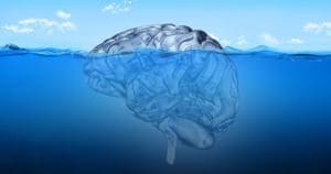 Brain in the sea