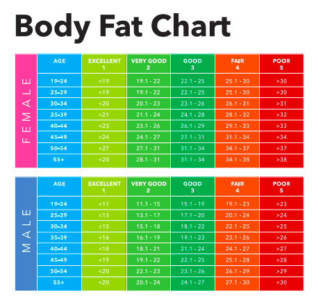 Weight & Body Fat Percentage Scale